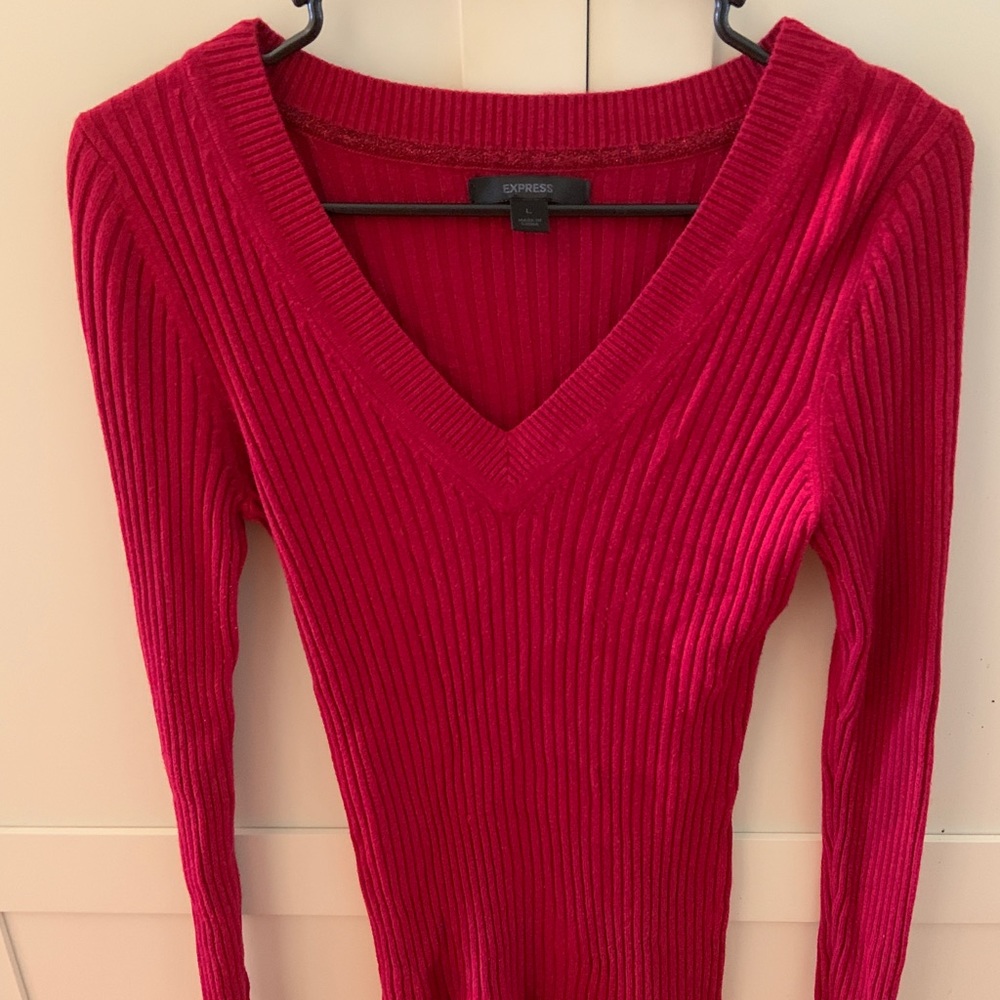 Women’s express v neck sweater